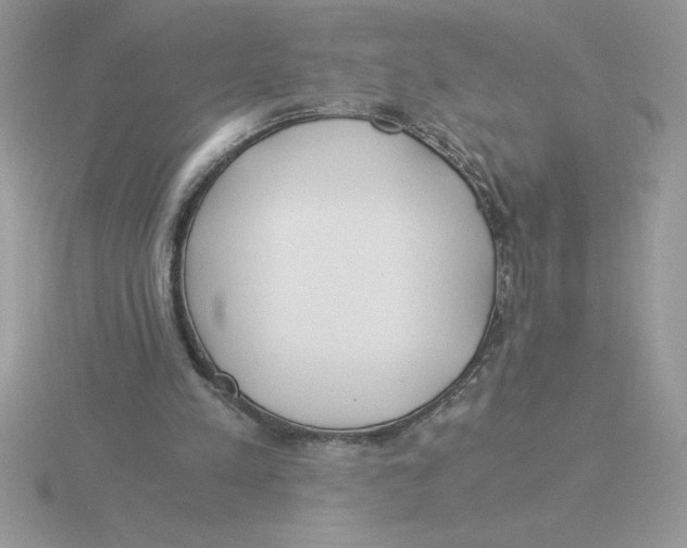 X0000115820197200912111258