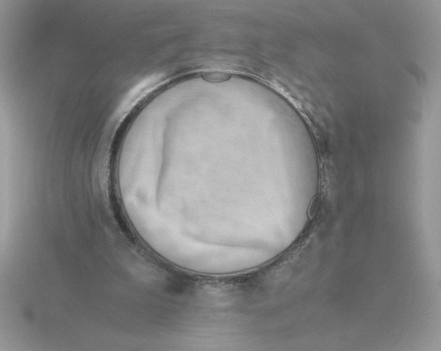 X0000115820199200912111258