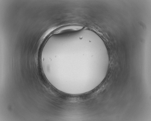 X0000115820200200912111258