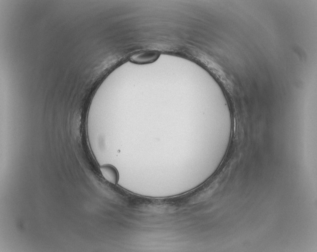 X0000115820201200912111258