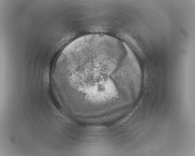 X0000115820202200912111258