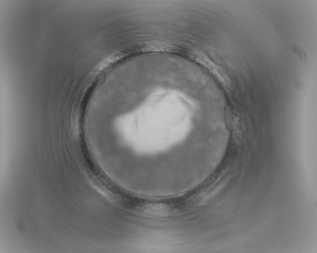 X0000115820203200912111258