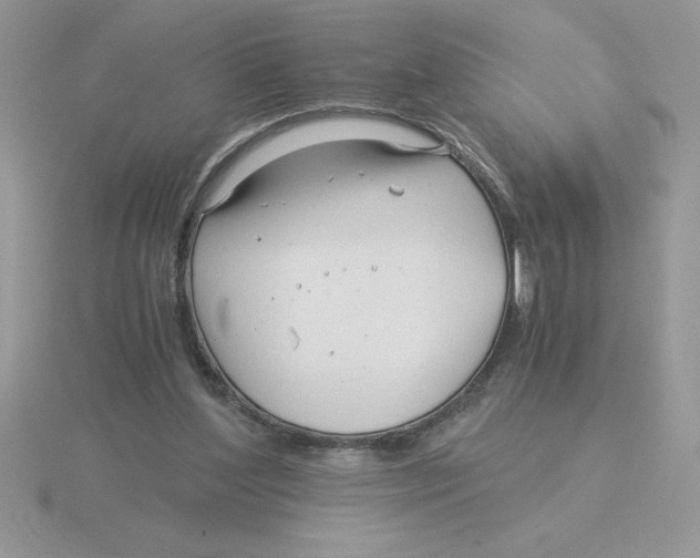 X0000115820204200912111258