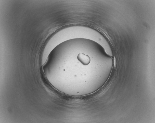 X0000115820205200912111258