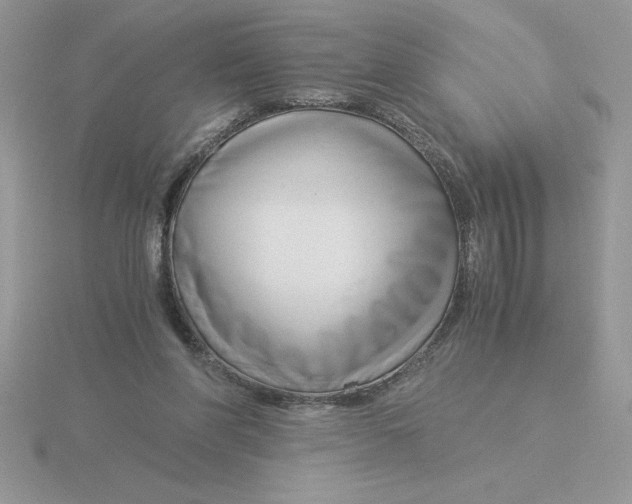 X0000115820206200912111258