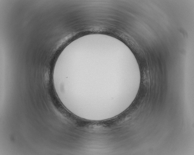 X0000115820208200912111258