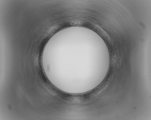 X0000115820209200912111258