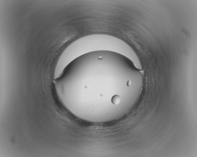 X0000115820211200912111258