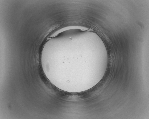 X0000115820212200912111258