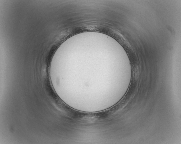 X0000115820213200912111258