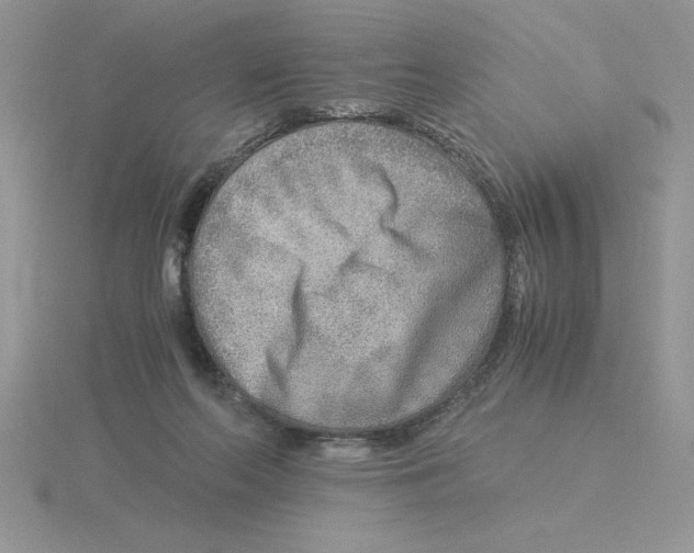 X0000115820214200912111258