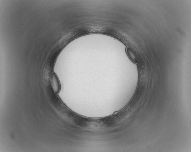 X0000115820215200912111258