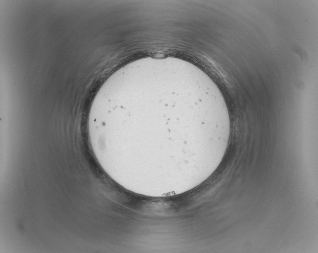 X0000115820217200912111258