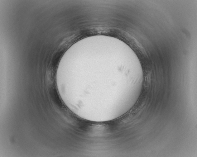 X0000115820218200912111258