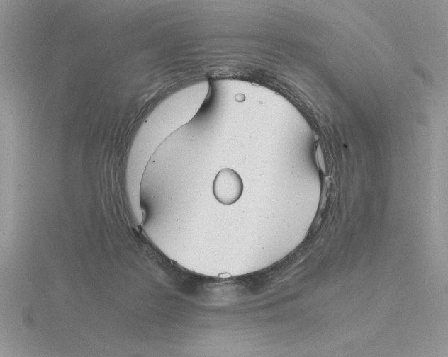 X0000115820219200912111258