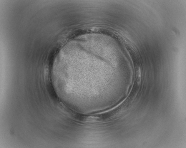 X0000115820222200912111258