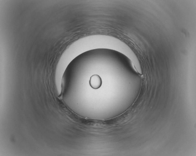 X0000115820223200912111258