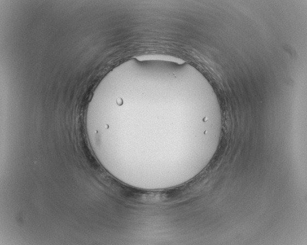 X0000115820225200912111258