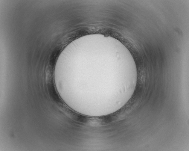 X0000115820226200912111258