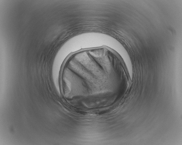 X0000115820227200912111258