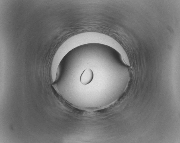 X0000115820231200912111258