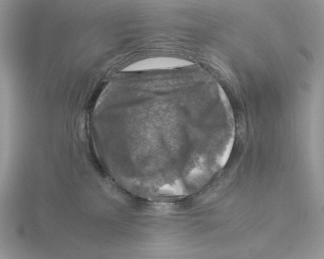 X0000115820233200912111258