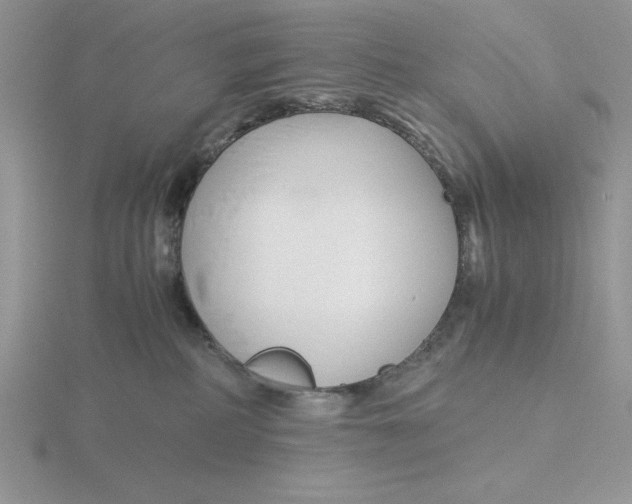 X0000115820234200912111258