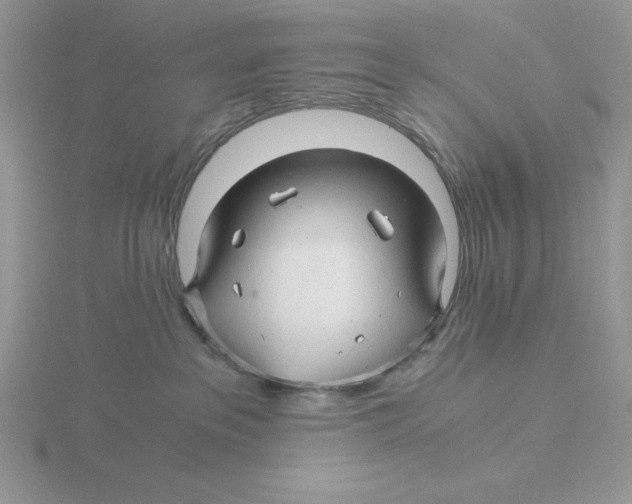 X0000115820237200912111258