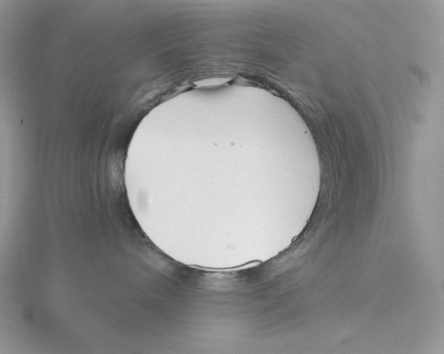 X0000115820240200912111258