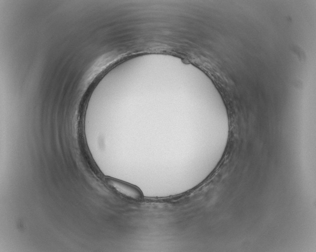 X0000115820242200912111257