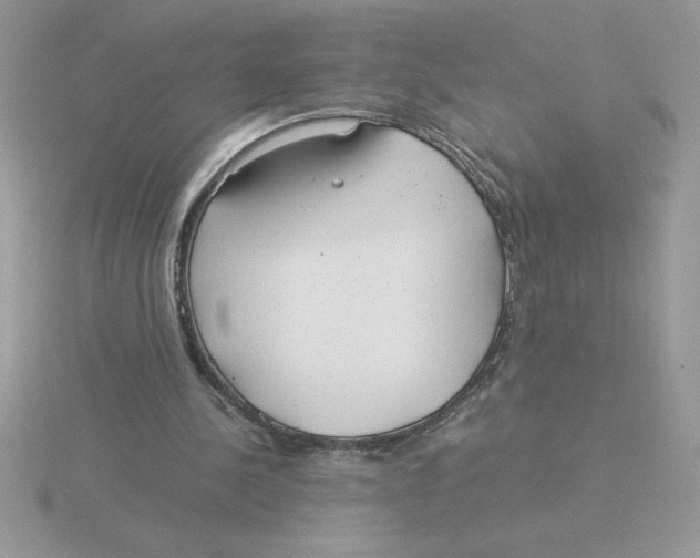 X0000115820244200912111257