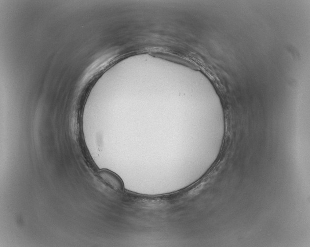 X0000115820245200912111257