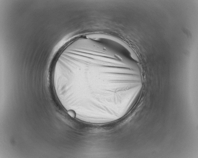 X0000115820246200912111257