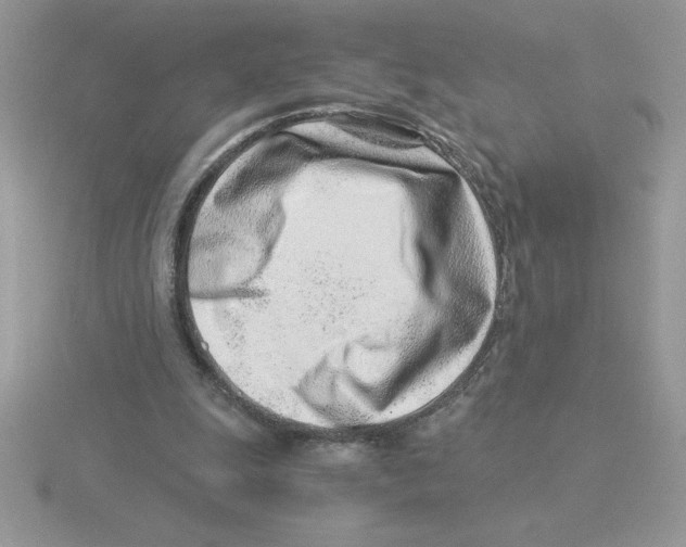 X0000115820247200912111257