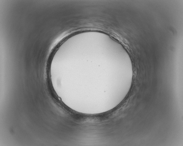 X0000115820248200912111257