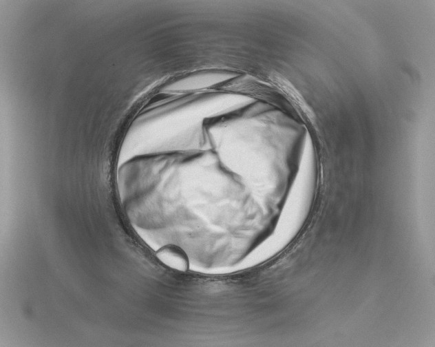 X0000115820249200912111257