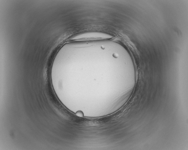 X0000115820250200912111257