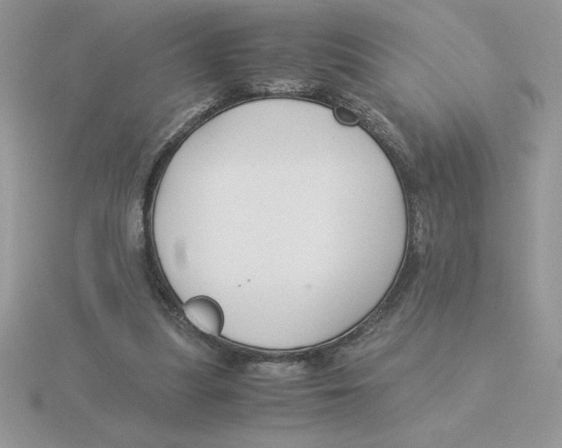 X0000115820251200912111257