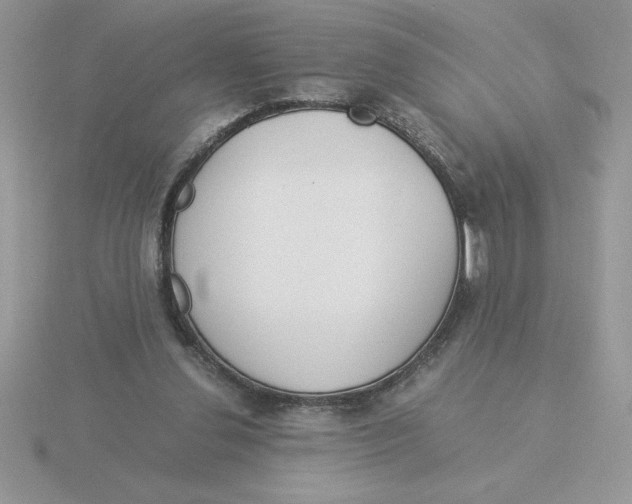 X0000115820252200912111257