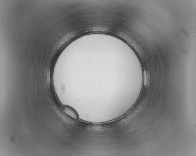 X0000115820253200912111257