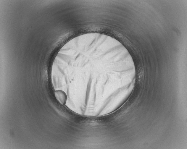 X0000115820254200912111257