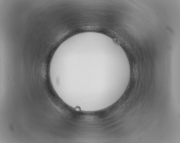 X0000115820255200912111257