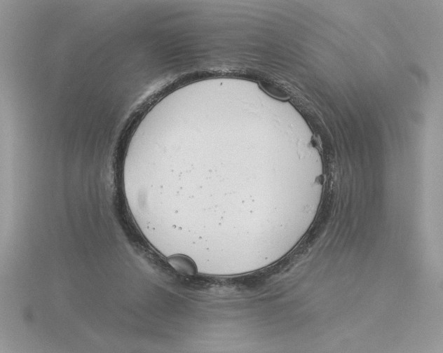 X0000115820256200912111257