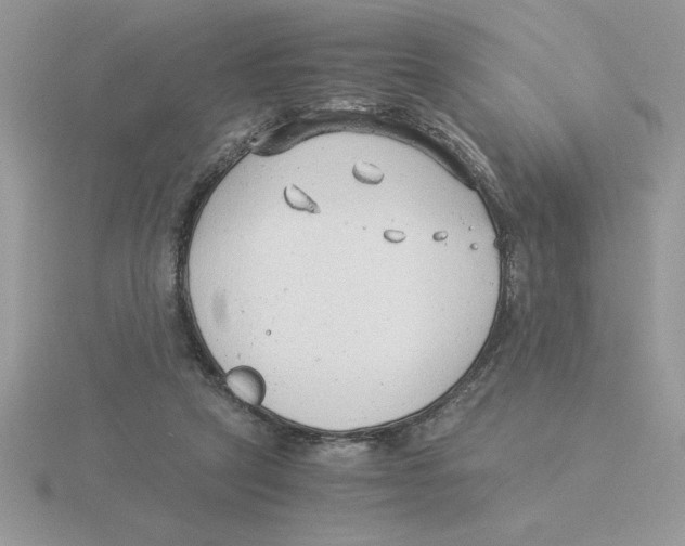 X0000115820257200912111257