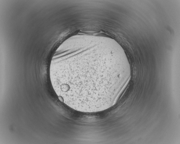 X0000115820260200912111257