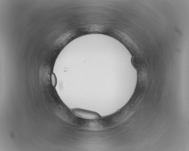 X0000115820264200912111257