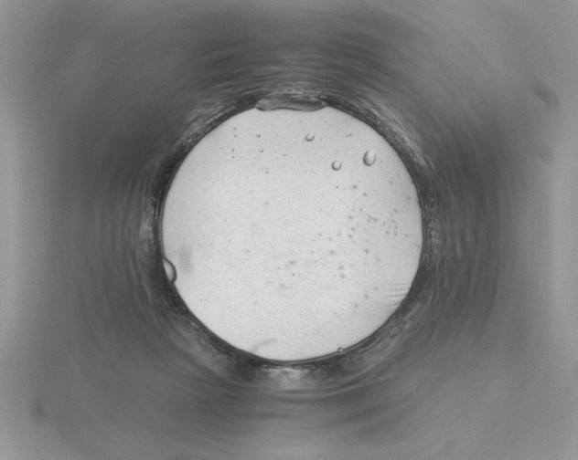 X0000115820265200912111257