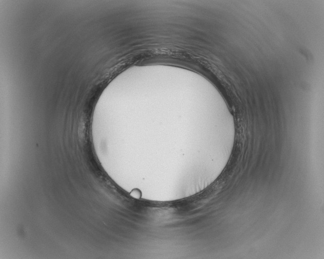 X0000115820266200912111257