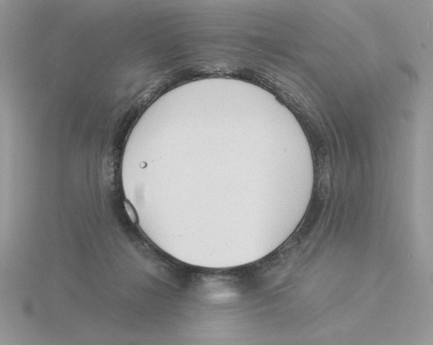 X0000115820268200912111257