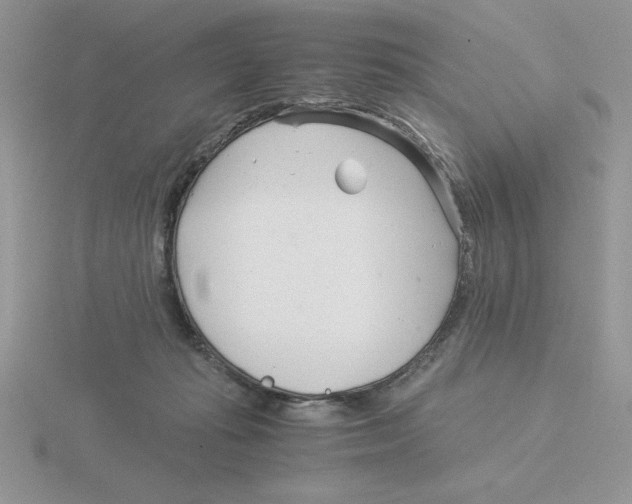 X0000115820269200912111257